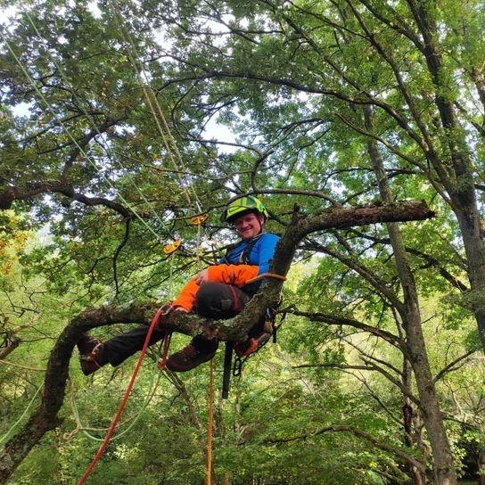 Nicolas Senot, paysagiste et élagueur grimpeur à Bussy-Saint-Georges – fondateur de Senot Paysage